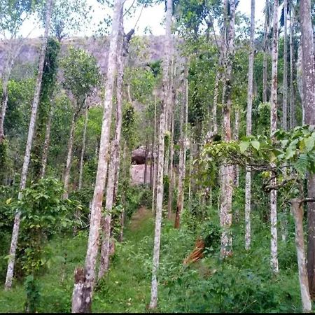Wayanad Snow Vibes Villa Vythiri Exterior photo