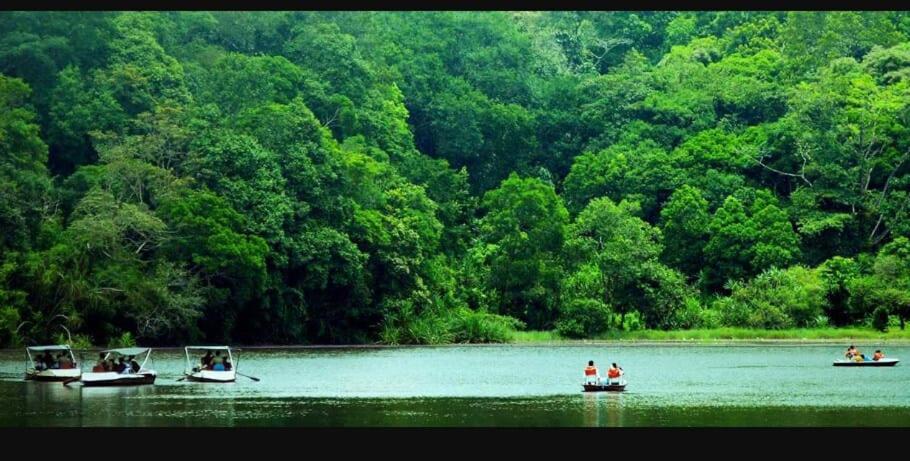 Wayanad Snow Vibes *