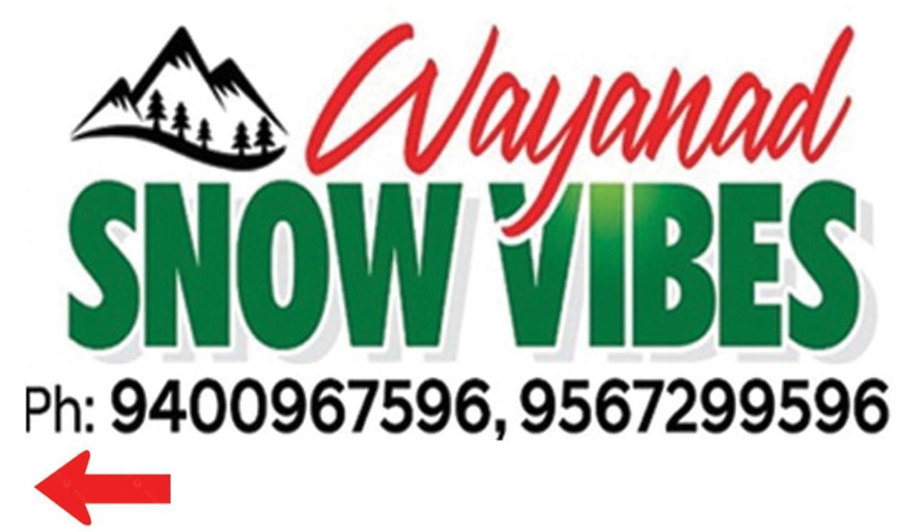 Wayanad Snow Vibes Holiday home