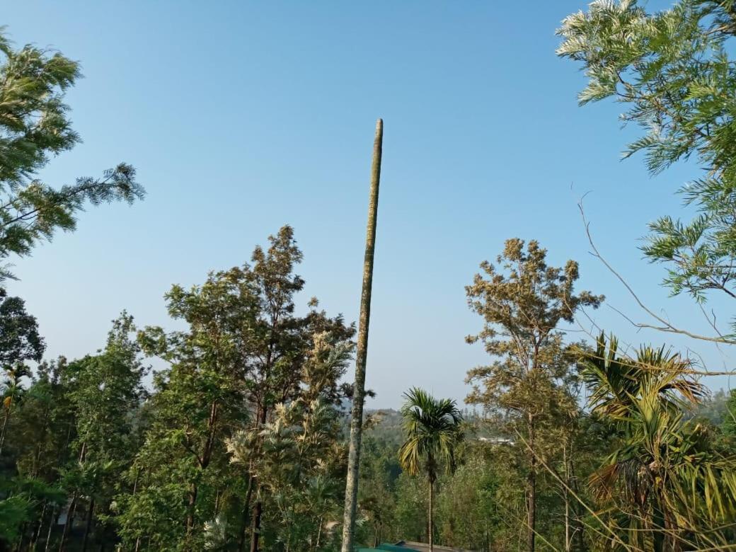 Wayanad Snow Vibes * Vythiri