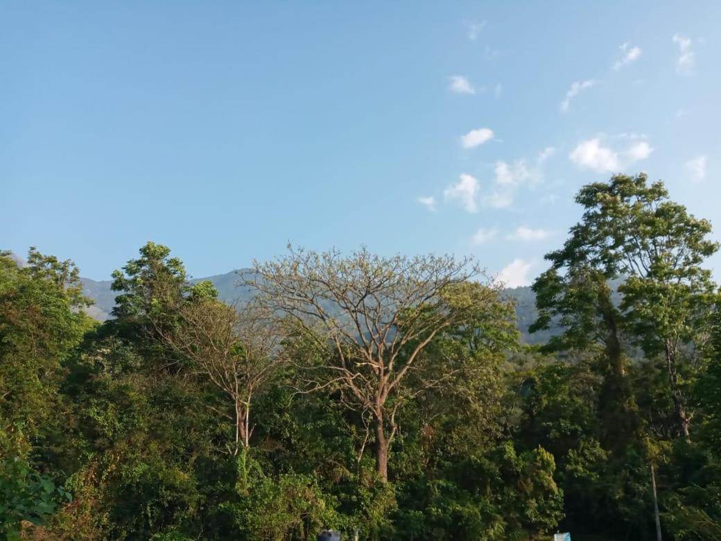 Holiday home Wayanad Snow Vibes Vythiri
