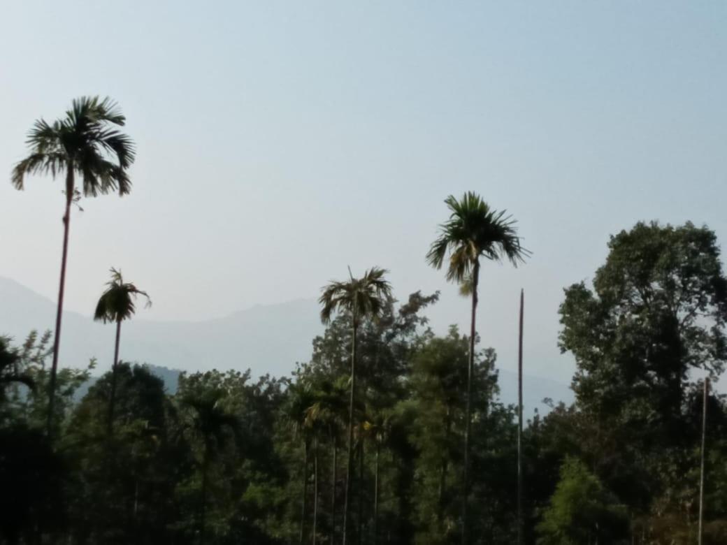 Wayanad Snow Vibes * Vythiri