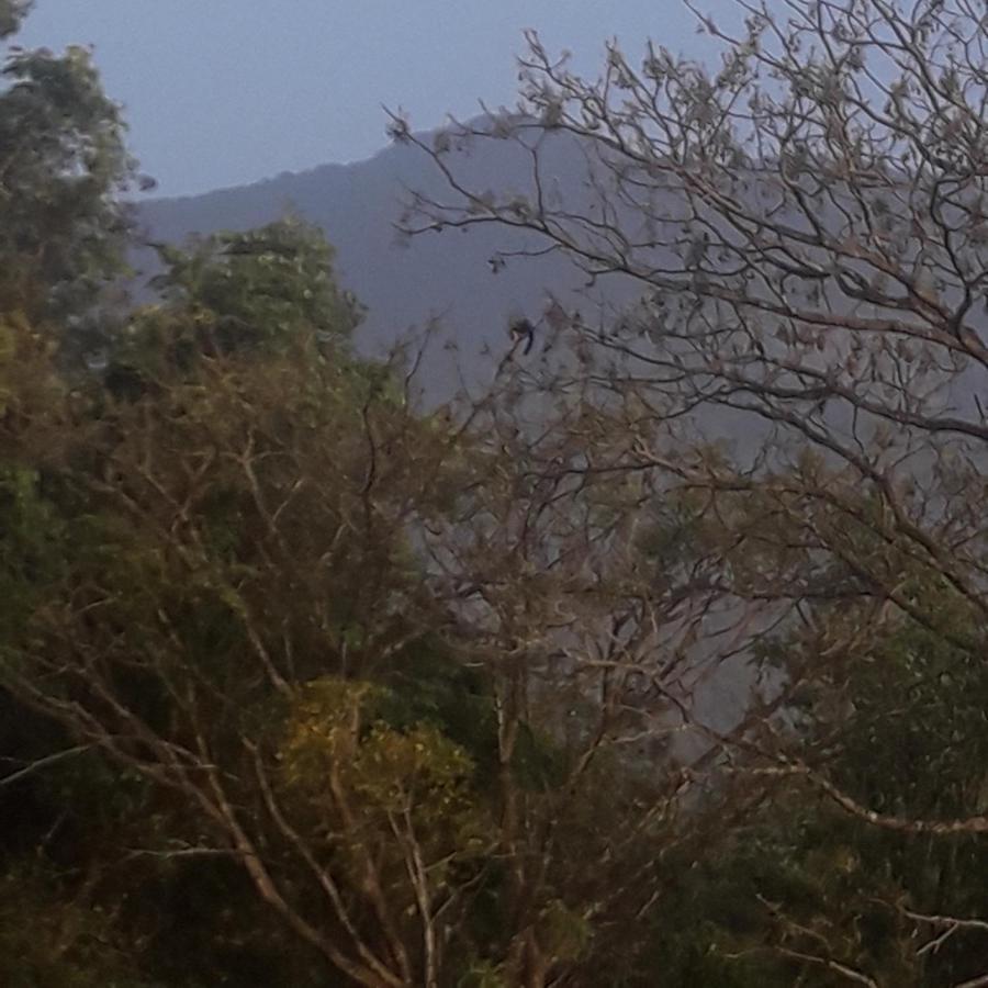 Holiday home Wayanad Snow Vibes *